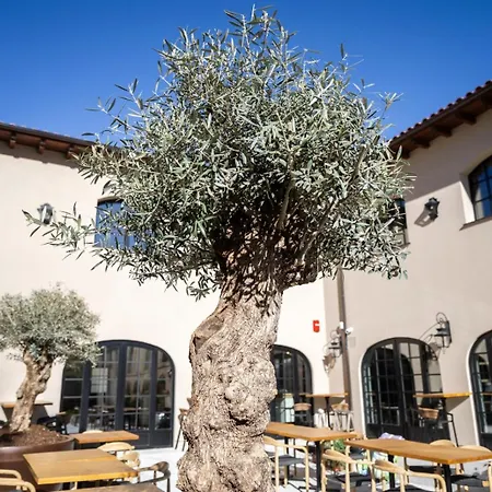 & Convento San Francisco