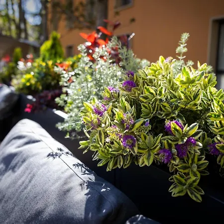 & Convento San Francisco Hotel