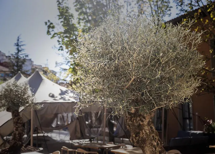 Hotel Hotel&spa Convento San Francisco