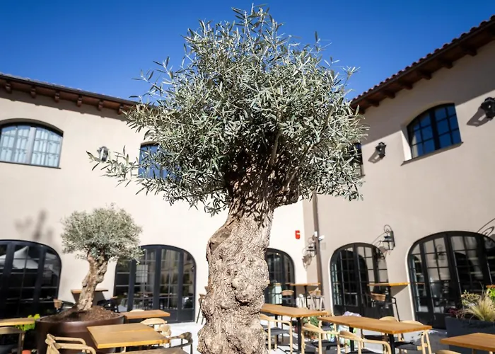 Hotel&spa Convento San Francisco