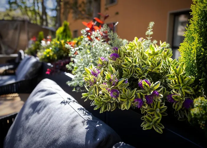 & Convento San Francisco Hotel